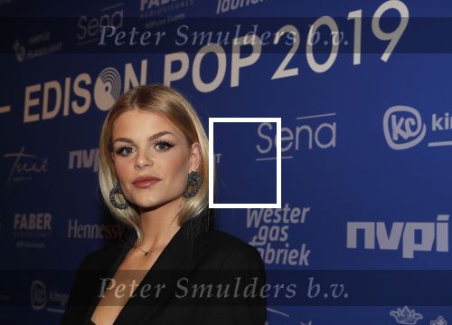 Amsterdam 11 februari 2019
Uitreiking Edisons bij de westergasfabriek. Davina Michelle met band