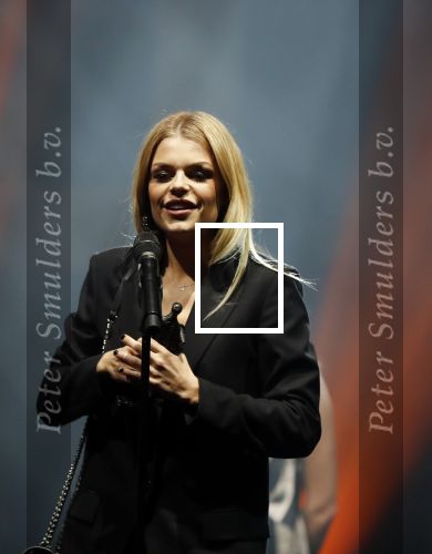 Amsterdam 11 februari 2019
Uitreiking Edisons bij de westergasfabriek. davina Michelle