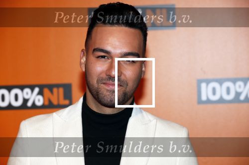 Amsterdam 7 februari 2019
Uitreiking 100%NL awards. Rachel Kramer en partner Deon Leon