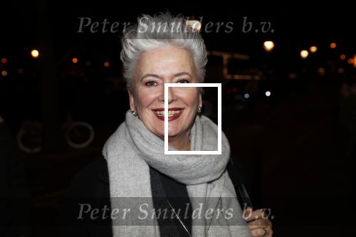Amsterdam 15 februari 2019
Premiere de verleiders in Carre. Doris Baaten kwam met Maarten Wansink