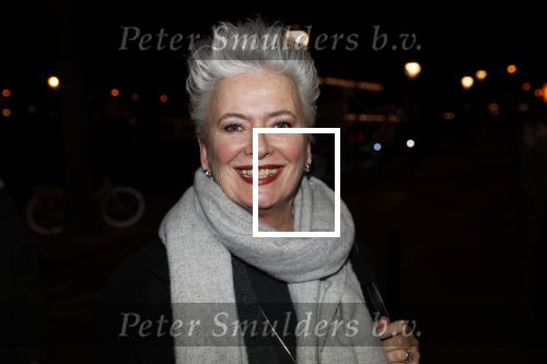 Amsterdam 15 februari 2019
Premiere de verleiders in Carre. Doris Baaten kwam met Maarten Wansink