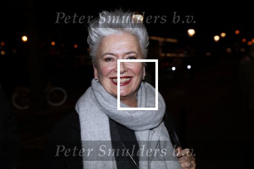 Amsterdam 15 februari 2019
Premiere de verleiders in Carre. Doris Baaten kwam met Maarten Wansink