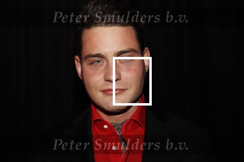 Amsterdam 11 februari 2019
Uitreiking Edisons bij de westergasfabriek. Douwe Bob