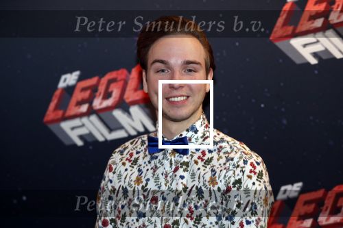 Utrecht 3 februari 2019
Premiere Lego film in de bioscoop bij de jaarbeurs. Dylan Haegens met zijn vriendin Marit Brugman