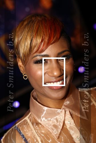 Baarn, 25 Februari 2019
Perspresentatie IT Takes2
Edsilia Rombley