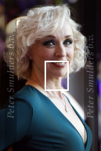 Amsterdam 14 februari 2019
Presentatie Cast Anastasia . De cast bestaat uit Carline Brouwer, Ad Knippels, Ellen Evers, Milan van Waardenburg, Tessa Sunniva van Tol, Rene van Kooten, Gerrie van der Klei.  Albert Verlinde van stage entertainment presenteert de cast van de Broadway musical Anastasia in Hermitage Amsterdam.