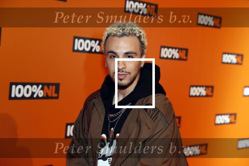 Amsterdam 7 februari 2019
Uitreiking 100%NL awards. Fais