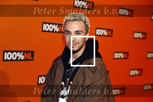 Amsterdam 7 februari 2019
Uitreiking 100%NL awards. Fais