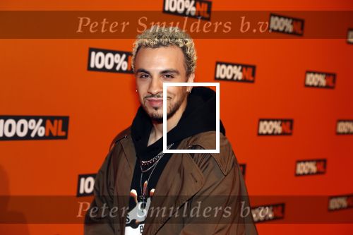Amsterdam 7 februari 2019
Uitreiking 100%NL awards. Fais