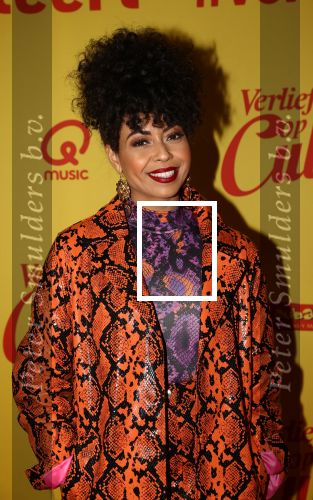 Hilversum, 11 Februari 2019 Premiere Verliefd op Cuba
Fenna Ramos