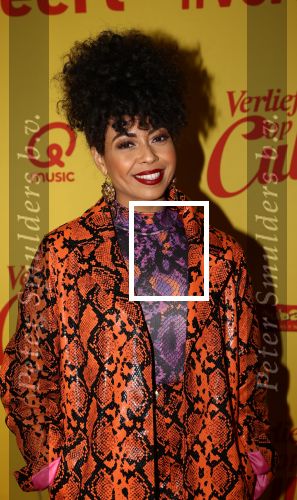 Hilversum, 11 Februari 2019 Premiere Verliefd op Cuba
Fenna Ramos