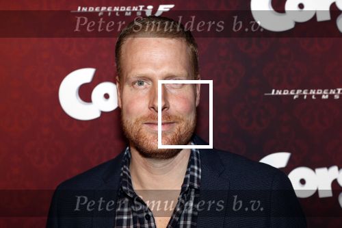 Amsterdam 10 februari 2019
Premiere Corgi in pathe arena. Ferdi Stofmeel