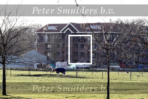 Wassenaar 5 maart 2019
In dit complex Parq Residence heeft Frank Dane een penthouse gekocht.