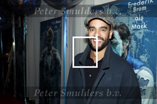 Den Haag 5 maart 2019
Premiere Art in de koninklijke schouwburg van Den Haag. Freek Bartels