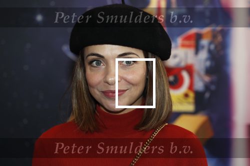 Utrecht 3 februari 2019
Premiere Lego film in de bioscoop bij de jaarbeurs. Georgina Verbaan