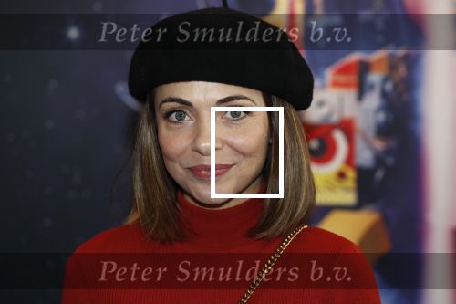Utrecht 3 februari 2019
Premiere Lego film in de bioscoop bij de jaarbeurs. Georgina Verbaan