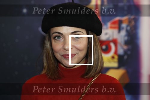 Utrecht 3 februari 2019
Premiere Lego film in de bioscoop bij de jaarbeurs. Georgina Verbaan