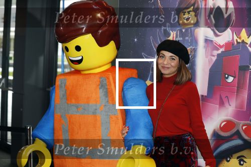Utrecht 3 februari 2019
Premiere Lego film in de bioscoop bij de jaarbeurs. Georgina Verbaan