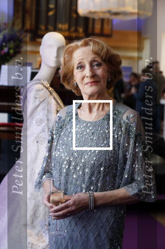 Amsterdam 14 februari 2019
Presentatie Cast Anastasia . De cast bestaat uit Carline Brouwer, Ad Knippels, Ellen Evers, Milan van Waardenburg, Tessa Sunniva van Tol, Rene van Kooten, Gerrie van der Klei.  Albert Verlinde van stage entertainment presenteert de cast van de Broadway musical Anastasia in Hermitage Amsterdam.