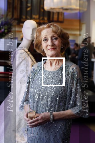 Amsterdam 14 februari 2019
Presentatie Cast Anastasia . De cast bestaat uit Carline Brouwer, Ad Knippels, Ellen Evers, Milan van Waardenburg, Tessa Sunniva van Tol, Rene van Kooten, Gerrie van der Klei.  Albert Verlinde van stage entertainment presenteert de cast van de Broadway musical Anastasia in Hermitage Amsterdam.