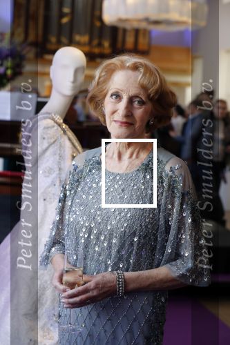 Amsterdam 14 februari 2019
Presentatie Cast Anastasia . De cast bestaat uit Carline Brouwer, Ad Knippels, Ellen Evers, Milan van Waardenburg, Tessa Sunniva van Tol, Rene van Kooten, Gerrie van der Klei.  Albert Verlinde van stage entertainment presenteert de cast van de Broadway musical Anastasia in Hermitage Amsterdam.