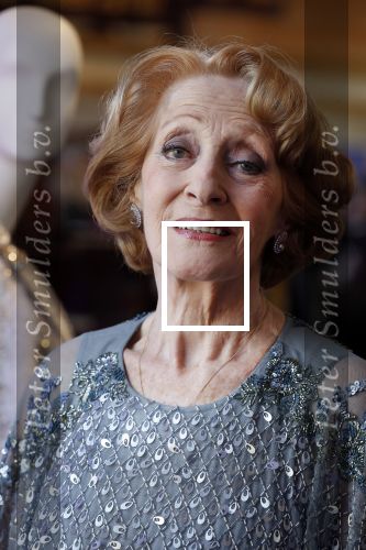 Amsterdam 14 februari 2019
Presentatie Cast Anastasia . De cast bestaat uit Carline Brouwer, Ad Knippels, Ellen Evers, Milan van Waardenburg, Tessa Sunniva van Tol, Rene van Kooten, Gerrie van der Klei.  Albert Verlinde van stage entertainment presenteert de cast van de Broadway musical Anastasia in Hermitage Amsterdam.