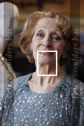 Amsterdam 14 februari 2019
Presentatie Cast Anastasia . De cast bestaat uit Carline Brouwer, Ad Knippels, Ellen Evers, Milan van Waardenburg, Tessa Sunniva van Tol, Rene van Kooten, Gerrie van der Klei.  Albert Verlinde van stage entertainment presenteert de cast van de Broadway musical Anastasia in Hermitage Amsterdam.