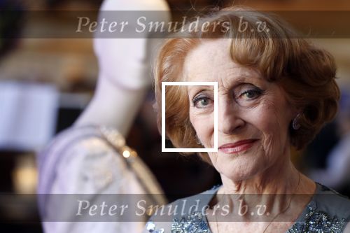 Amsterdam 14 februari 2019
Presentatie Cast Anastasia . De cast bestaat uit Carline Brouwer, Ad Knippels, Ellen Evers, Milan van Waardenburg, Tessa Sunniva van Tol, Rene van Kooten, Gerrie van der Klei.  Albert Verlinde van stage entertainment presenteert de cast van de Broadway musical Anastasia in Hermitage Amsterdam.
