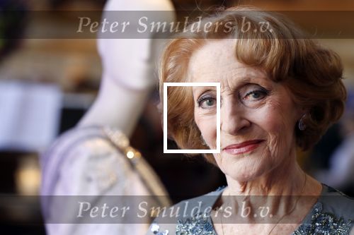 Amsterdam 14 februari 2019
Presentatie Cast Anastasia . De cast bestaat uit Carline Brouwer, Ad Knippels, Ellen Evers, Milan van Waardenburg, Tessa Sunniva van Tol, Rene van Kooten, Gerrie van der Klei.  Albert Verlinde van stage entertainment presenteert de cast van de Broadway musical Anastasia in Hermitage Amsterdam.