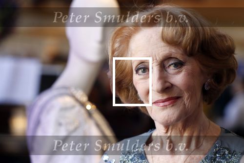 Amsterdam 14 februari 2019
Presentatie Cast Anastasia . De cast bestaat uit Carline Brouwer, Ad Knippels, Ellen Evers, Milan van Waardenburg, Tessa Sunniva van Tol, Rene van Kooten, Gerrie van der Klei.  Albert Verlinde van stage entertainment presenteert de cast van de Broadway musical Anastasia in Hermitage Amsterdam.