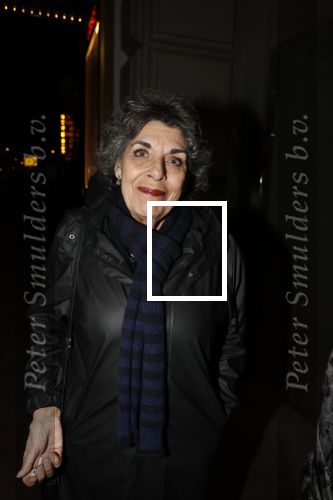 Amsterdam 15 februari 2019
Premiere de verleiders in Carre. Hanneke Groenteman