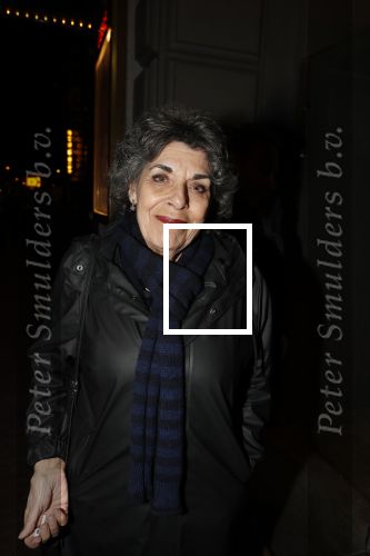 Amsterdam 15 februari 2019
Premiere de verleiders in Carre. Hanneke Groenteman