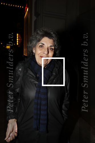 Amsterdam 15 februari 2019
Premiere de verleiders in Carre. Hanneke Groenteman