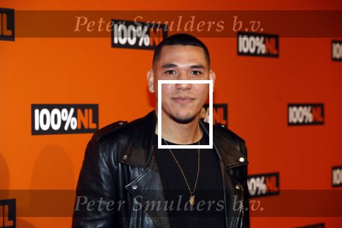 Amsterdam 7 februari 2019
Uitreiking 100%NL awards. Elise van der Horst en Hedwiges Maduro