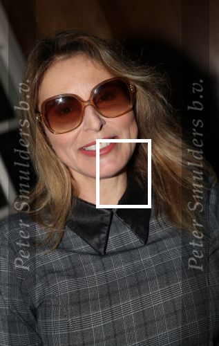 Amsterdam, 21 Februari 2019
Uitreiking boek Daphne Deckers, Dubbel Zes
Heleen v Roijen