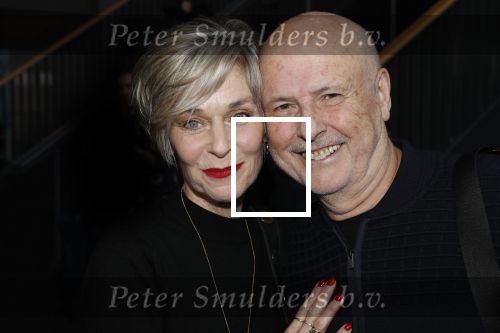 Utrecht 3 februari 2019
Premiere Lego film in de bioscoop bij de jaarbeurs. Hilde de Mildt en partner Bert Stoots