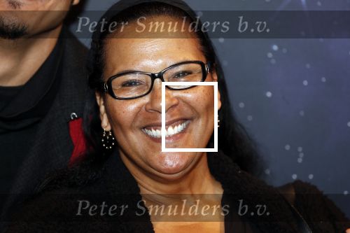 Utrecht 3 februari 2019
Premiere Lego film in de bioscoop bij de jaarbeurs. Ingrid Simons
