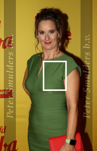 Hilversum, 11 Februari 2019 Premiere Verliefd op Cuba
Iris Slee