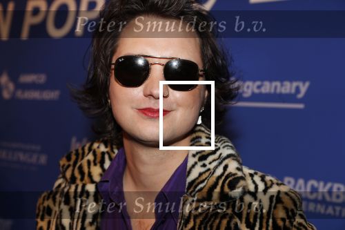 Amsterdam 11 februari 2019
Uitreiking Edisons bij de westergasfabriek. Jett Rebel