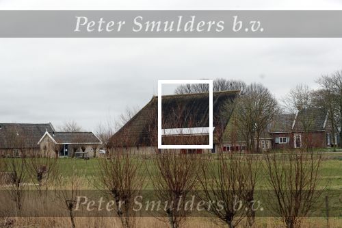 Friesland 1 maart 2019
Boederij / huis Job Gosschalk.