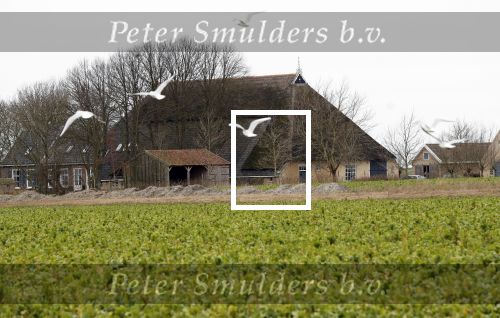 Friesland 1 maart 2019
Boederij / huis Job Gosschalk.