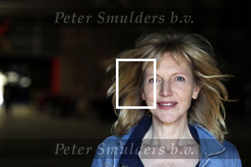Enschede 26 februari 2019
Presentatie cast van Hanna van Hendrik met oa Huub Stapel en Johanna ter Steege. Presentatie is op vliegveld Twente.