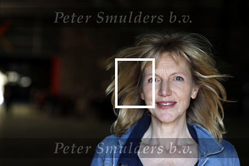 Enschede 26 februari 2019
Presentatie cast van Hanna van Hendrik met oa Huub Stapel en Johanna ter Steege. Presentatie is op vliegveld Twente.