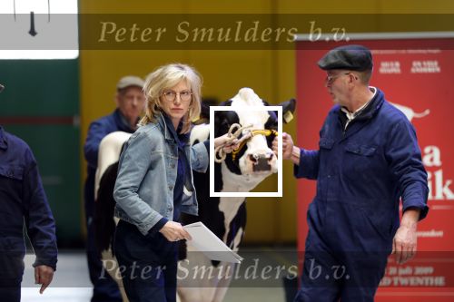 Enschede 26 februari 2019
Presentatie cast van Hanna van Hendrik met oa Huub Stapel en Johanna ter Steege. Presentatie is op vliegveld Twente.