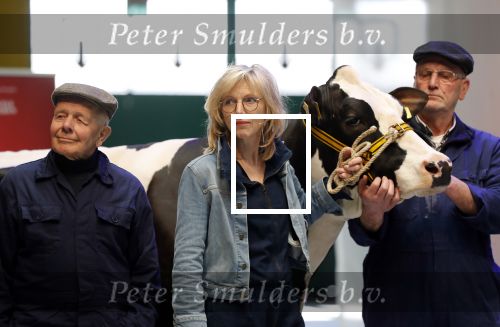 Enschede 26 februari 2019
Presentatie cast van Hanna van Hendrik met oa Huub Stapel en Johanna ter Steege. Presentatie is op vliegveld Twente.