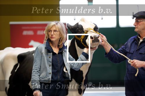 Enschede 26 februari 2019
Presentatie cast van Hanna van Hendrik met oa Huub Stapel en Johanna ter Steege. Presentatie is op vliegveld Twente.
