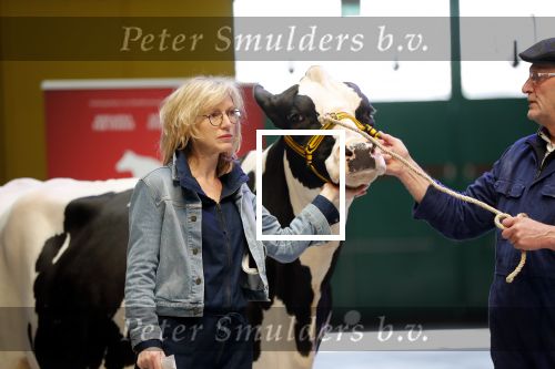 Enschede 26 februari 2019
Presentatie cast van Hanna van Hendrik met oa Huub Stapel en Johanna ter Steege. Presentatie is op vliegveld Twente.
