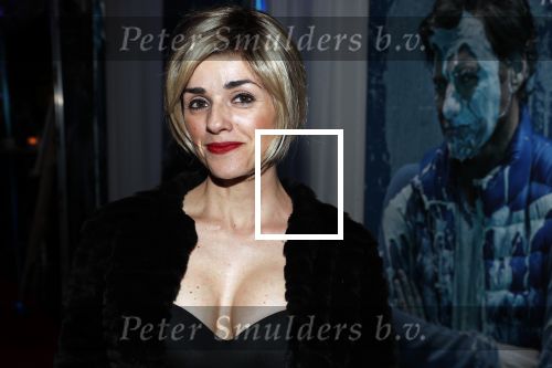 Den Haag 5 maart 2019
Premiere Art in de koninklijke schouwburg van Den Haag. Katarina Justic