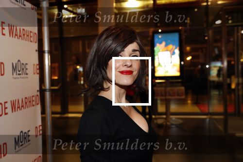 Amsterdam 6 februari 2019
Premiere de waarheid in het de la mar theater. Katarina Justic