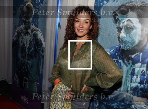 Den Haag 5 maart 2019
Premiere Art in de koninklijke schouwburg van Den Haag. katja Schuurman